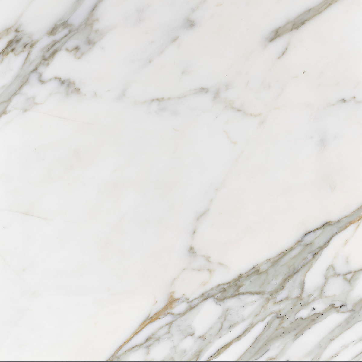 Calacatta Gold – Elon Tile & Stone