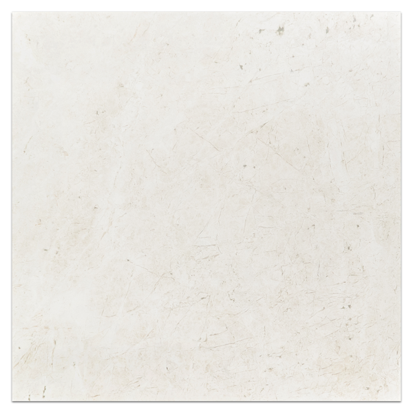 Alba Nova 24" x 24" Honed