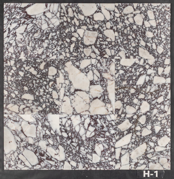 Bianco Violetta 12" x 12" Honed