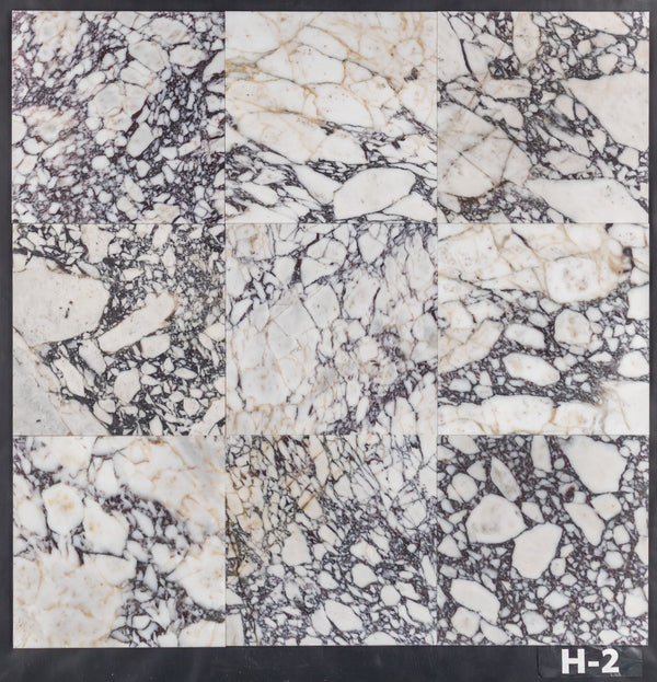 Bianco Violetta 12" x 12" Honed
