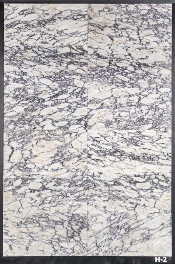 Bianco Violetta 12" x 24" Honed