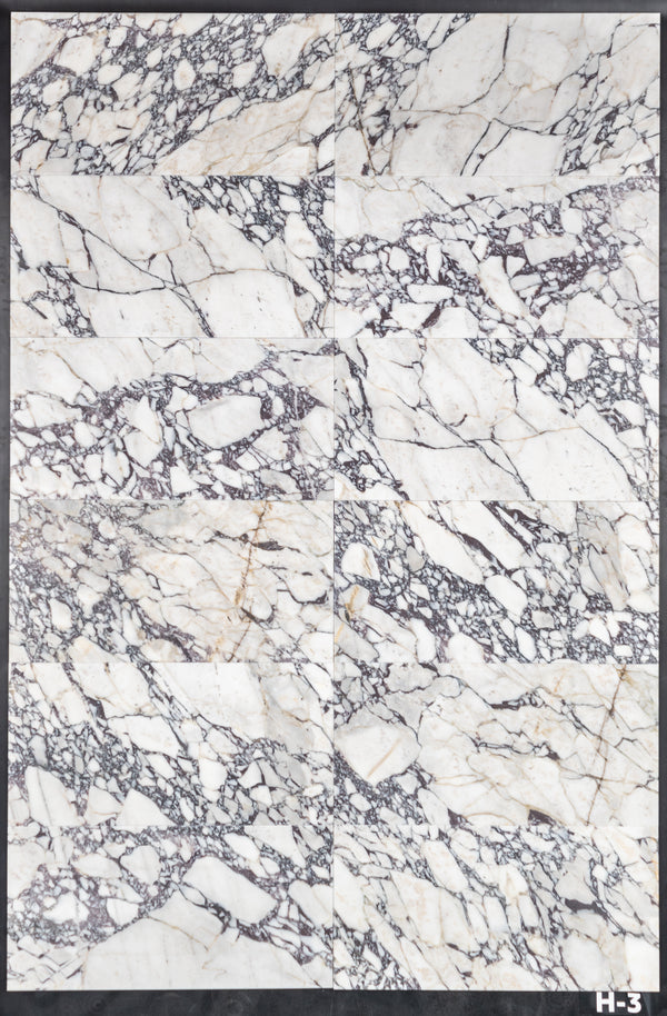 Bianco Violetta 12" x 24" Honed