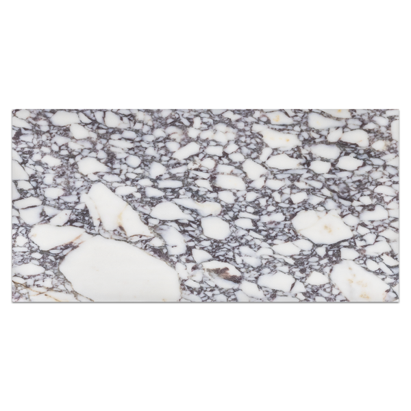 Bianco Violetta 12" x 24" Honed