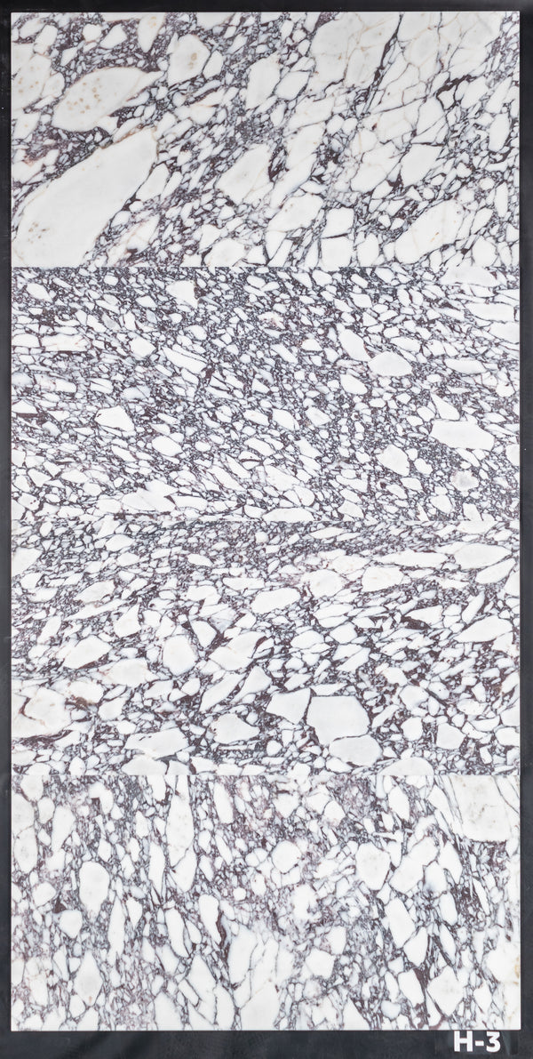 Bianco Violetta 18" x 36" Honed