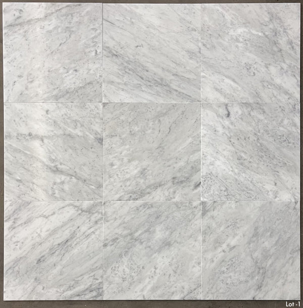 Bianco Carrara Venatino Gioia 18" x 18" Honed - Elon Tile & Stone