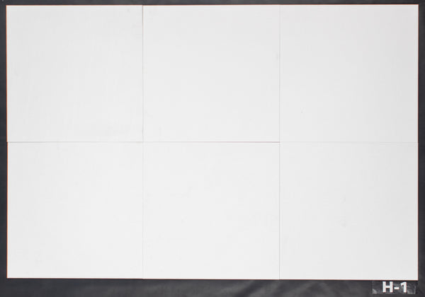 Thassos Blanco 18" x 18" Pulido