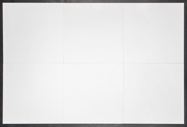 White Thassos 24" x 24" Honed