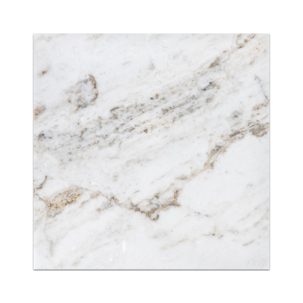 Bianco Oro 12" x 12" Pulido