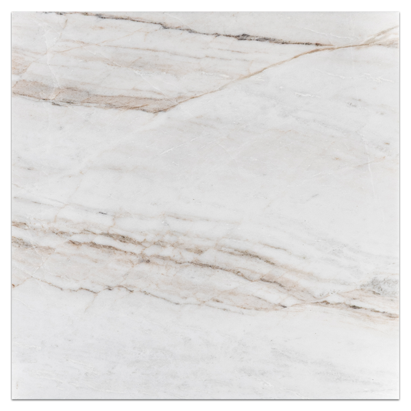 Bianco Oro 18" x 18" Honed