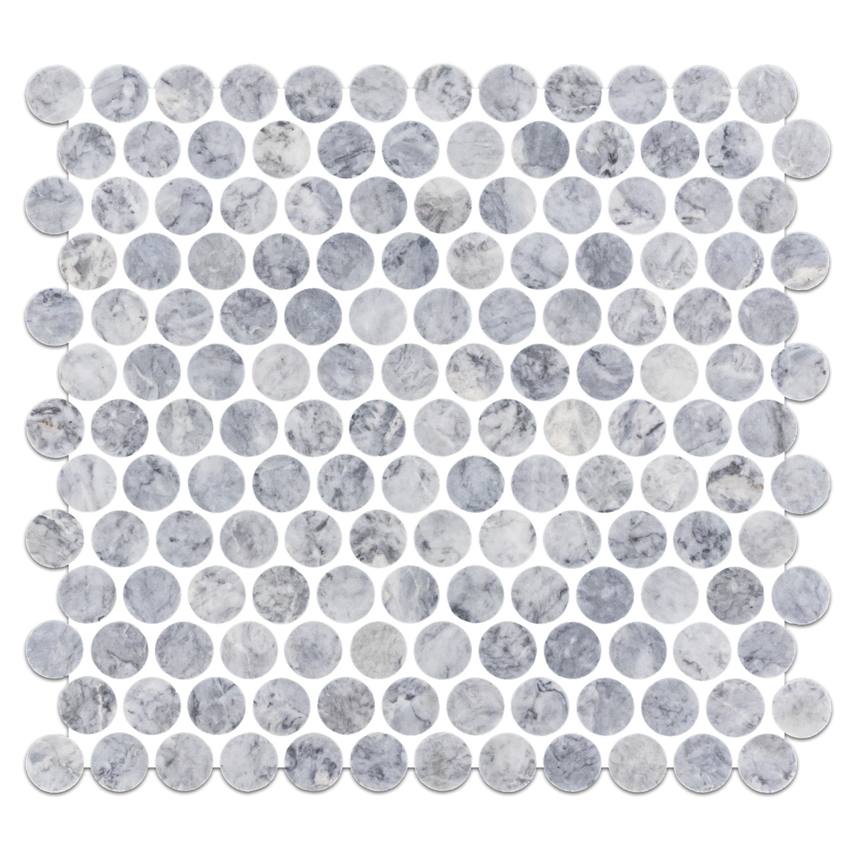 Pacific Gray 1
