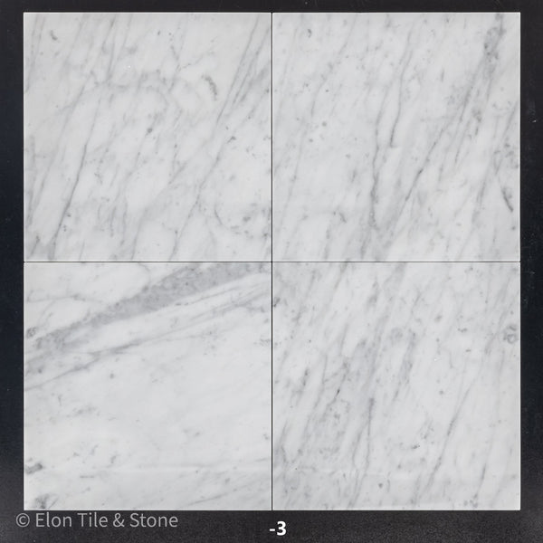 Bianco Carrara Venatino Gioia 12" x 12" Polished - Elon Tile & Stone