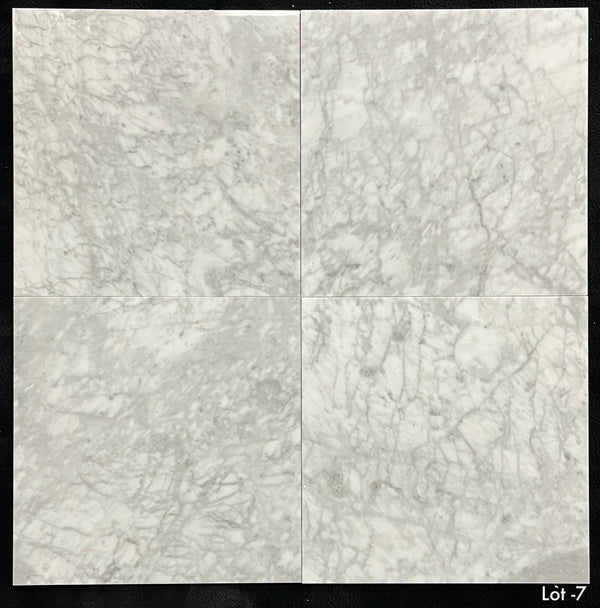 Bianco Carrara Venatino Gioia 18" x 18" Polished - Elon Tile & Stone