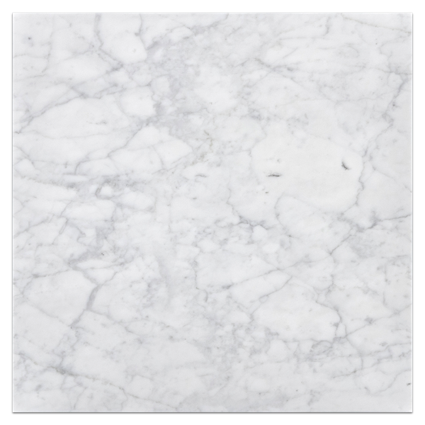 Bianco Carrara Venatino Gioia 18" x 18" Polished - Elon Tile & Stone