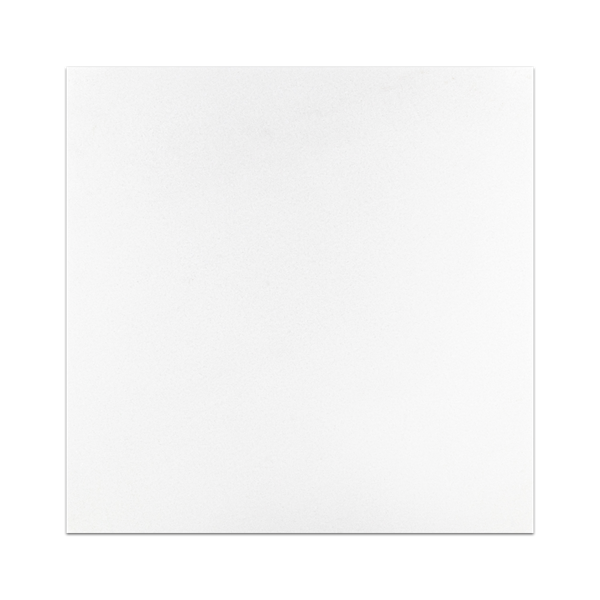 White Thassos 12" x 12" Polished