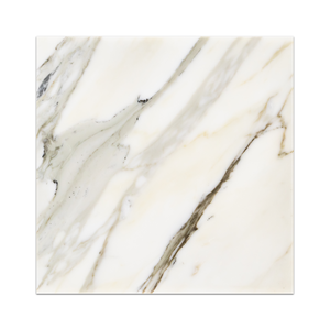 Calacatta Gold 12" x 12" Polished - Elon Tile & Stone