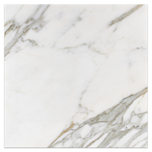 Calacatta Gold 18" x 18" Honed - Elon Tile & Stone