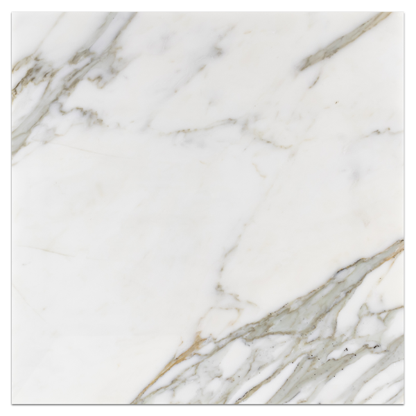 Calacatta Gold 18" x 18" Honed - Elon Tile & Stone