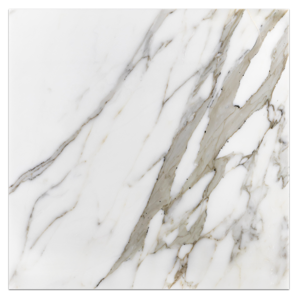 Calacatta Gold 18" x 18" Polished - Elon Tile & Stone