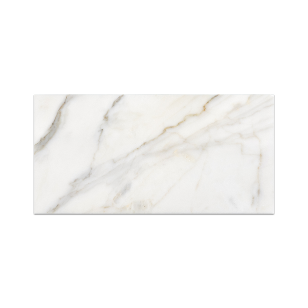 Calacatta Oro 6" x 12" Pulido