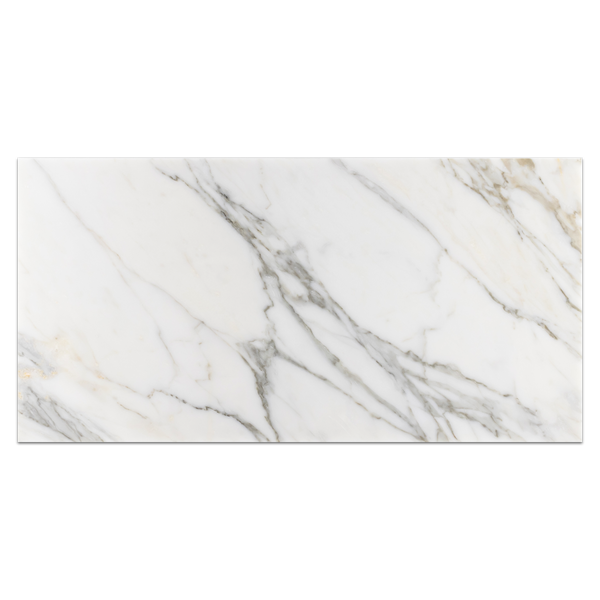 Calacatta Oro 12" x 24" Pulido