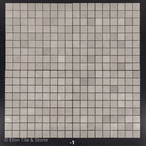 Sand Dollar 1 1/4" x 1 1/4" Square Mosaic Polished