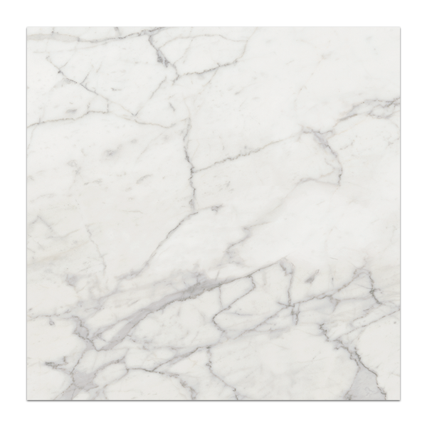 Nuance Calacatta 24" x 24" Honed