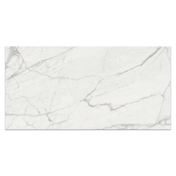 Nuance Calacatta 24" x 48" Honed