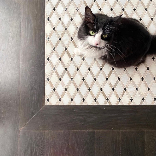 **LIMITED STOCK** White Absolute Lattice with Black and Temple Grey Mosaic Polished