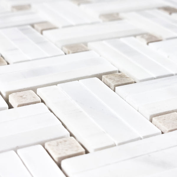 Dolomite Tri-Weave with 3/8" Crema Marfil Dot Mosaic Honed