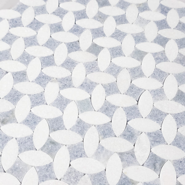 White Thassos & Blue Celeste Twilight Mosaic Honed
