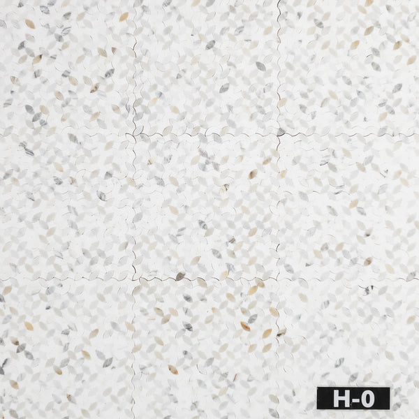 AM1955H-0 lot photo