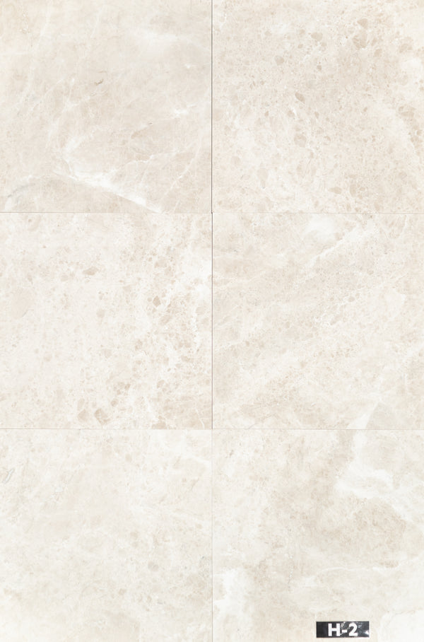 Vanilla Royale 24" x 24" Honed