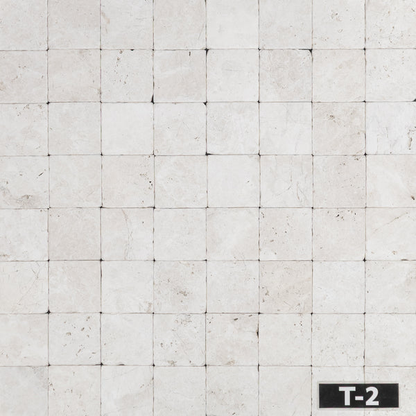 Alba Nova 4" x 4" Tumbled