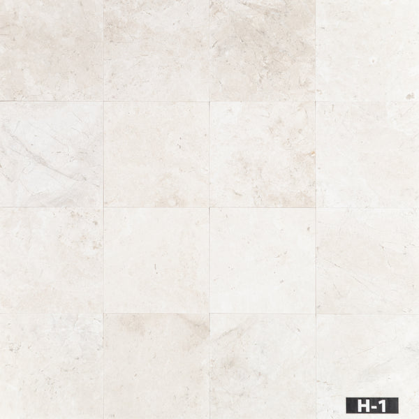 Alba Nova 12" x 12" Honed