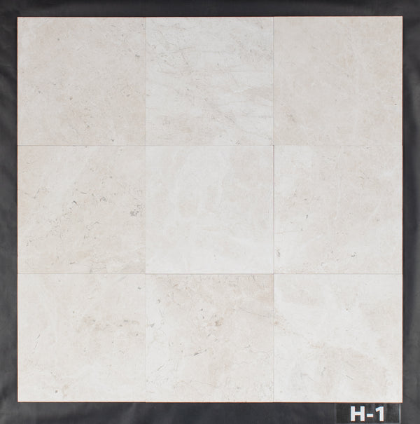 Alba Nova 12" x 12" Honed
