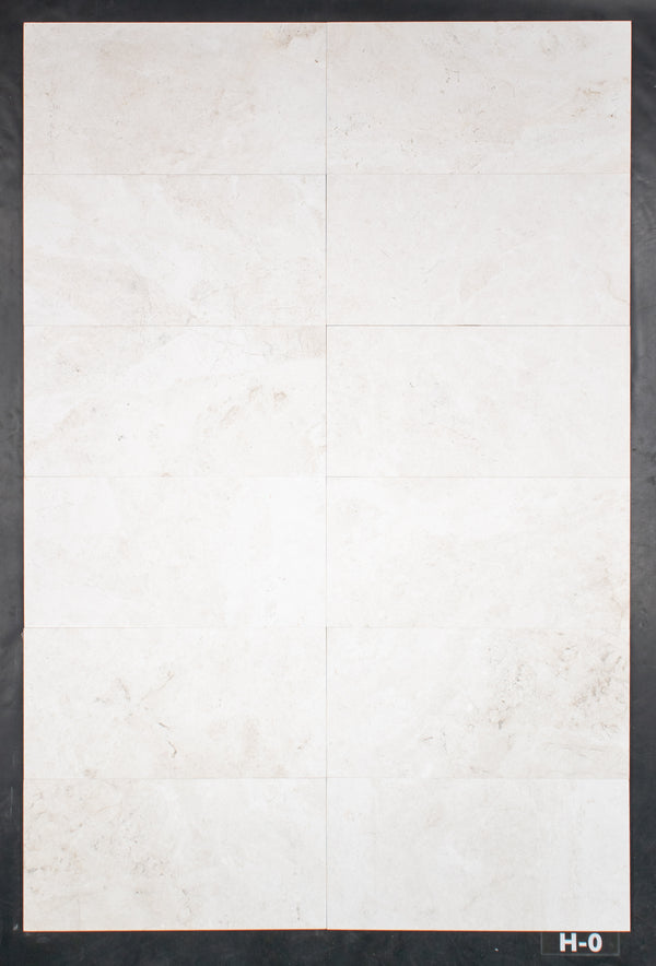 Alba Nova 12" x 24" Honed