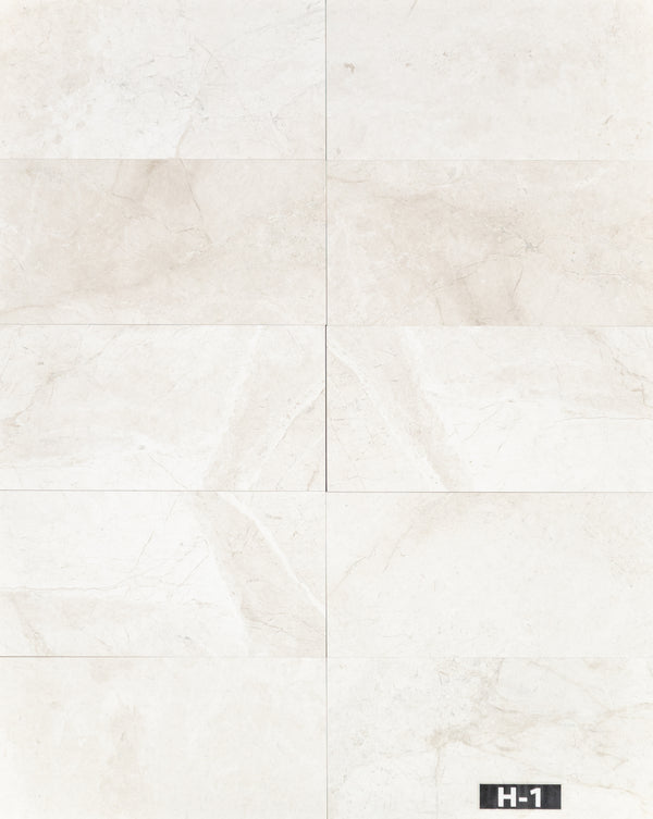 Alba Nova 12" x 24" Honed