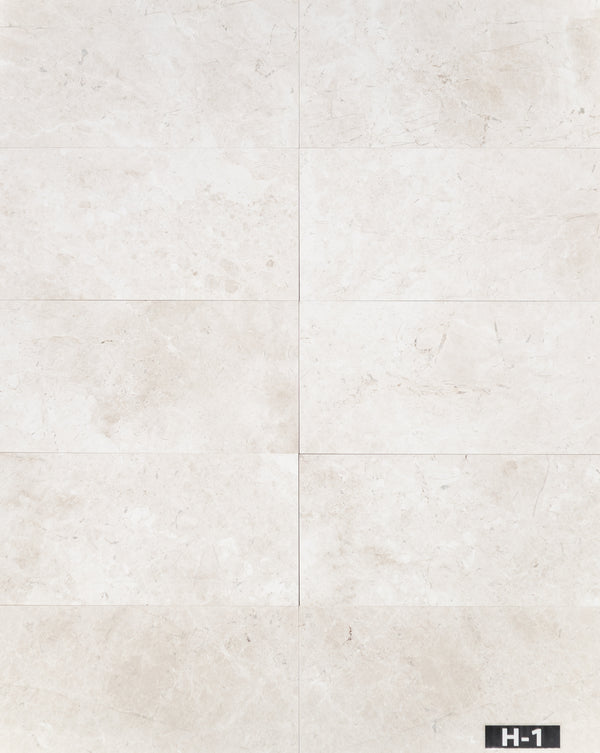 Alba Nova 12" x 24" Honed