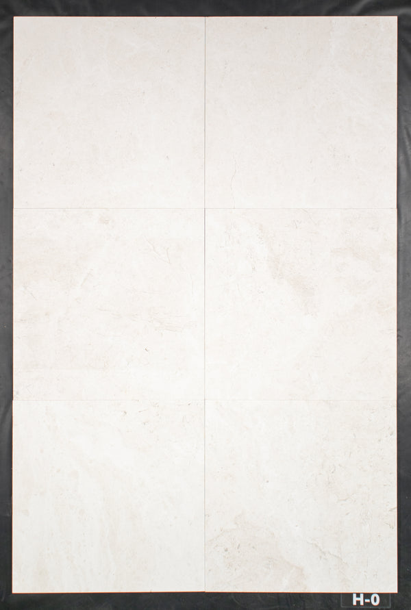 Alba Nova 24" x 24" Honed