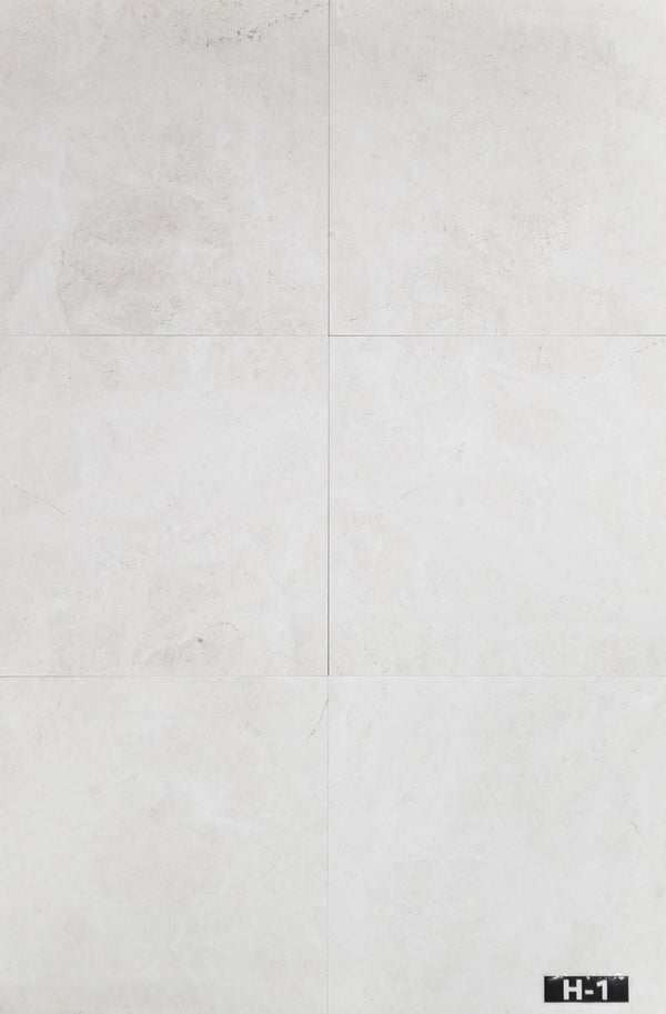 Alba Nova 24" x 24" Honed