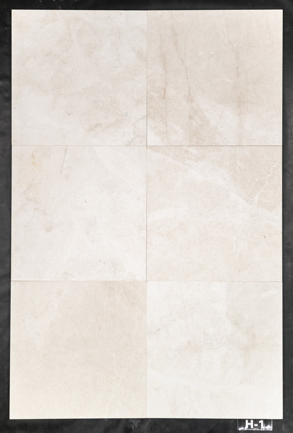 Alba Nova 24" x 24" Honed