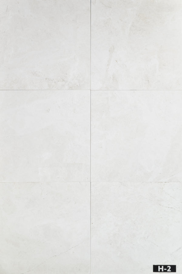 Alba Nova 24" x 24" Honed