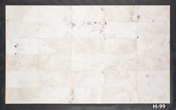 Alba Nova 6" x 12" Honed