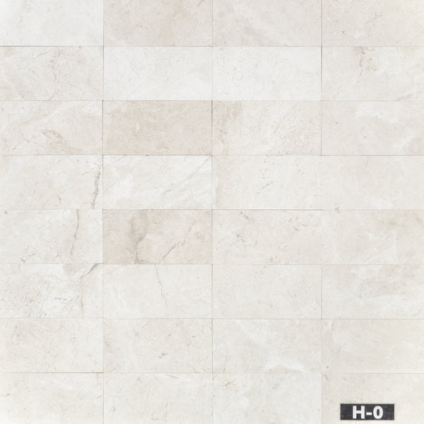 Alba Nova 6" x 12" Honed