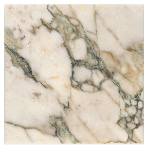 Calacatta Green 18" x 18" Honed