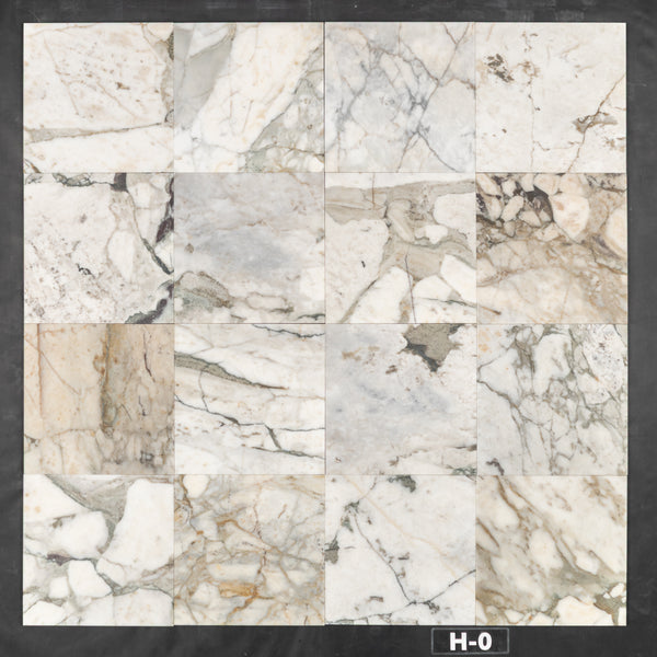 Calacatta Green 12" x 12" Honed