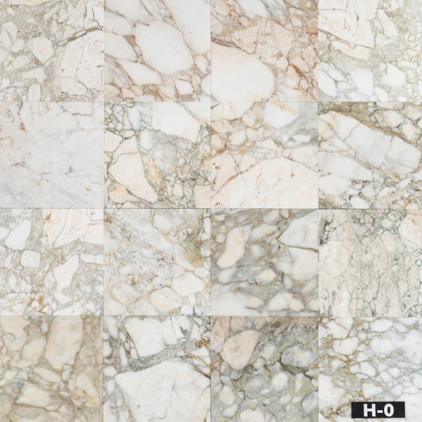 Calacatta Green 12" x 12" Honed