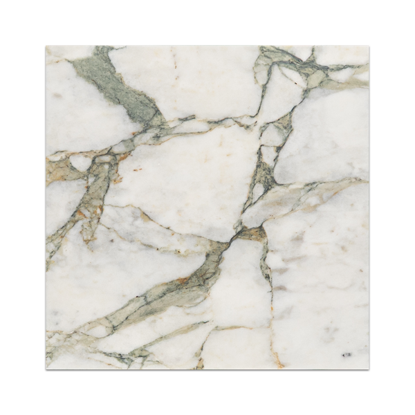 Calacatta Green 12" x 12" Honed