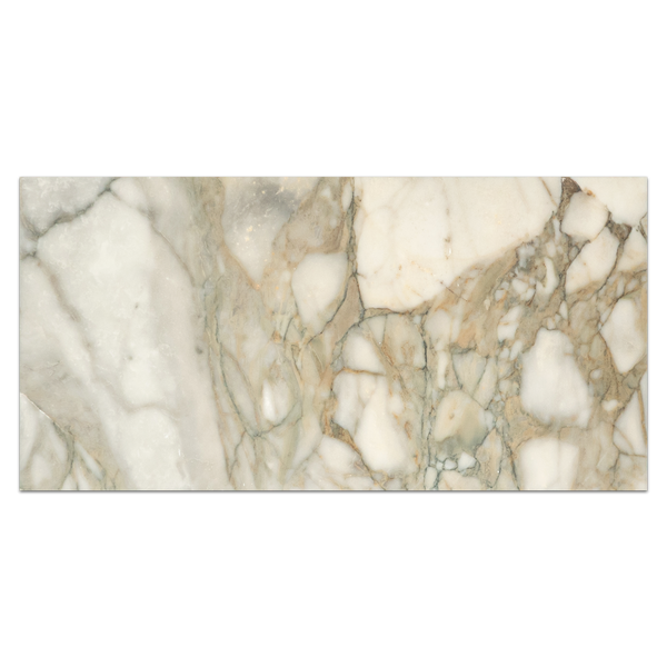 Calacatta Green 18" x 36" Honed