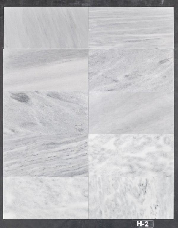 Blue Mist 12" x 24" Honed